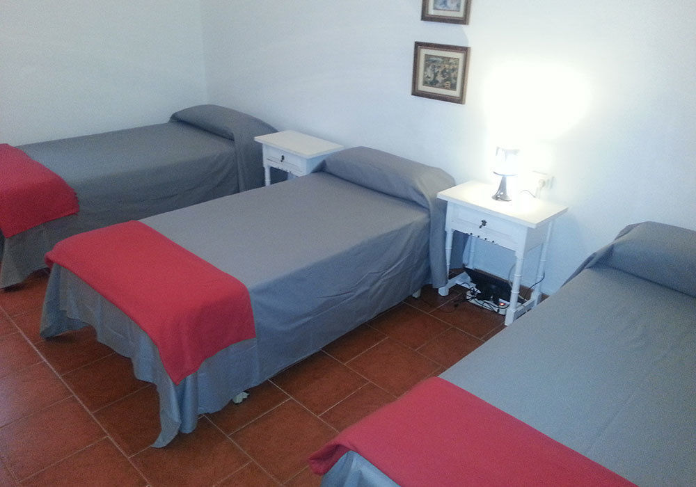 Regina 2* Palma